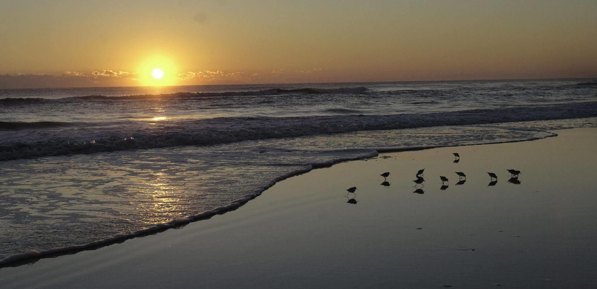 Club Sea Oats By Capital Vacations Motel Daytona Beach Shores Dış mekan fotoğraf